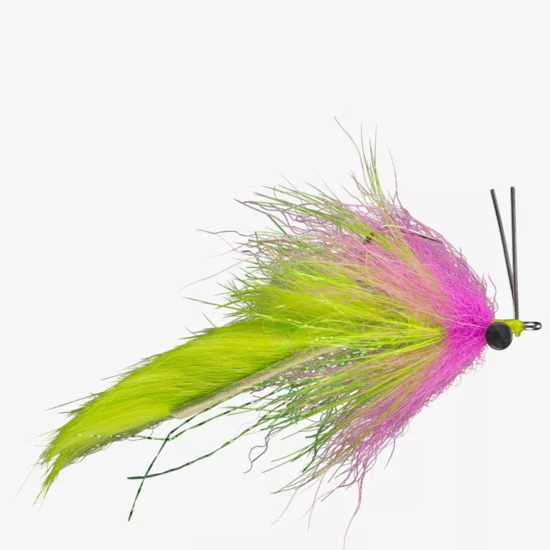 &1|Electric Chicken&Purple&Purple Yellow&Rusty Olive