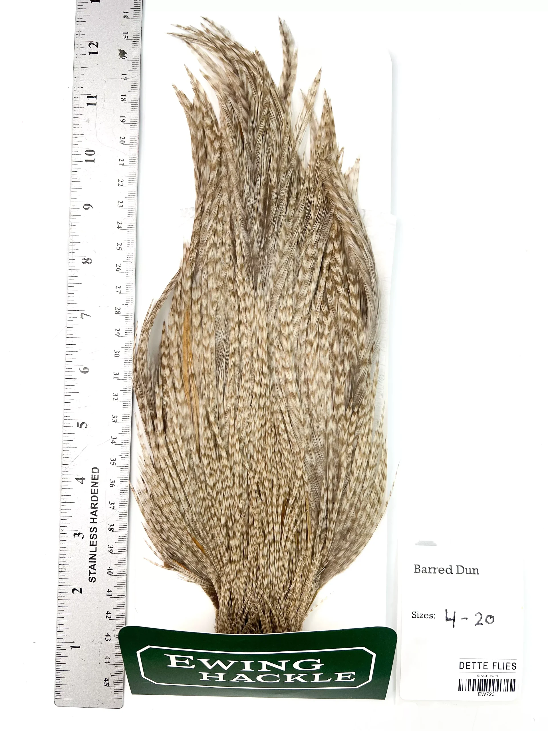 Barred Dun - Ewing Dry Fly Rooster Cape (723)