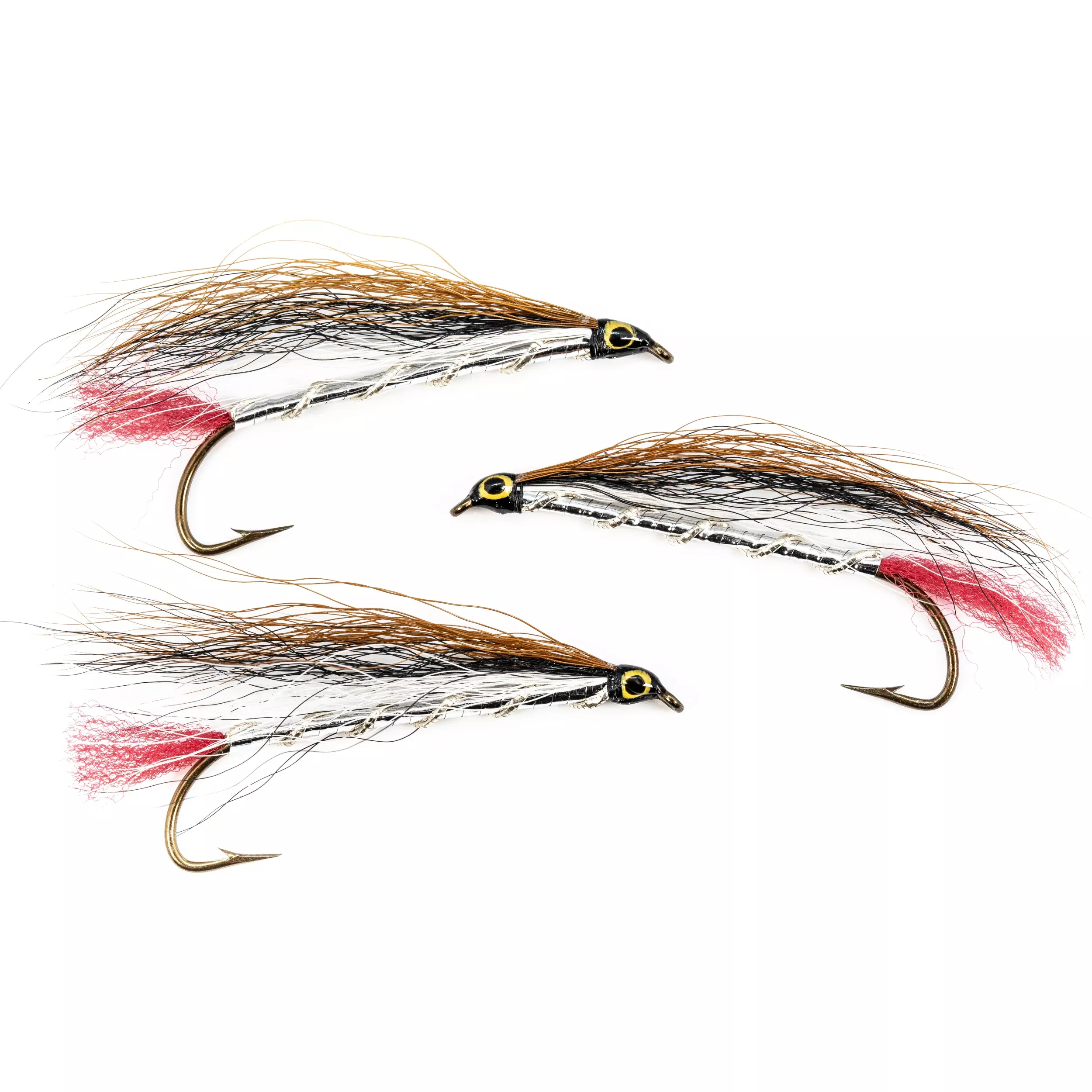 Black Nose Dace