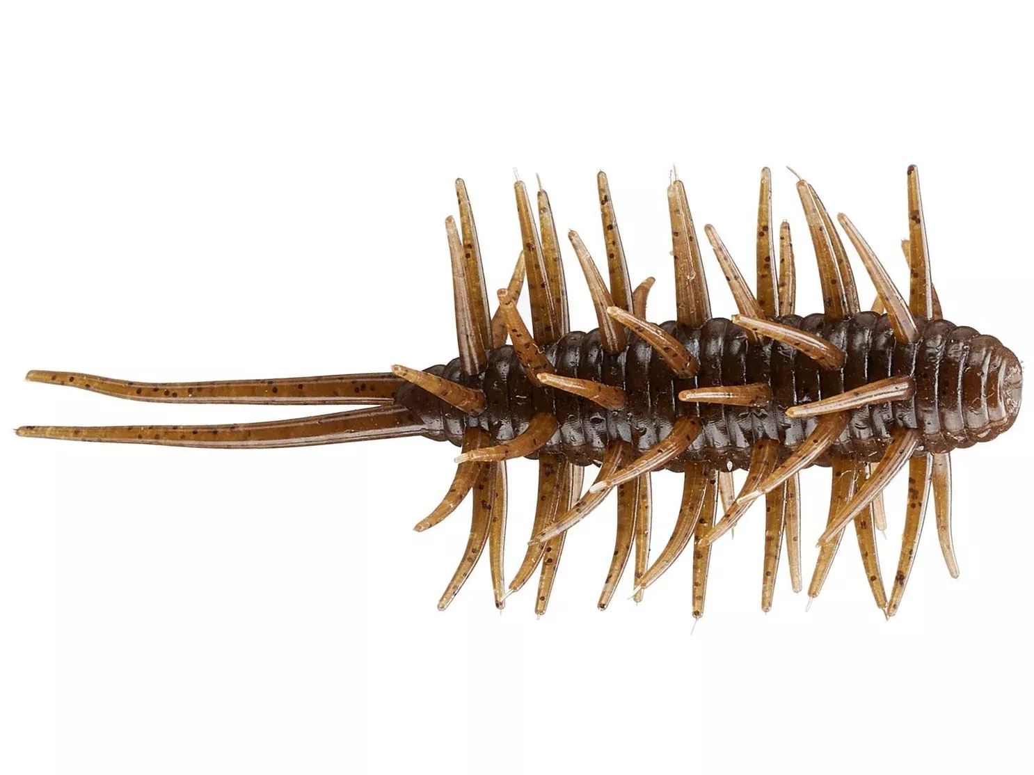 Coike Shrimp Medium