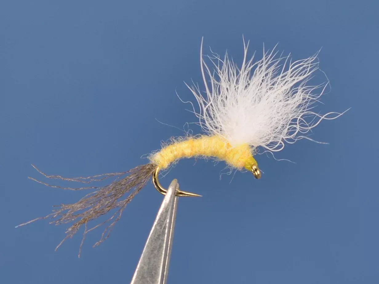 Dorothea Snowshoe Emerger