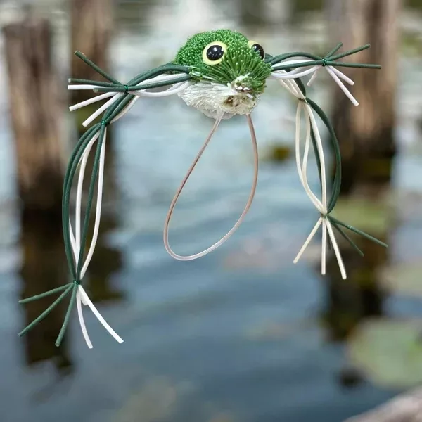 Henle's Frog