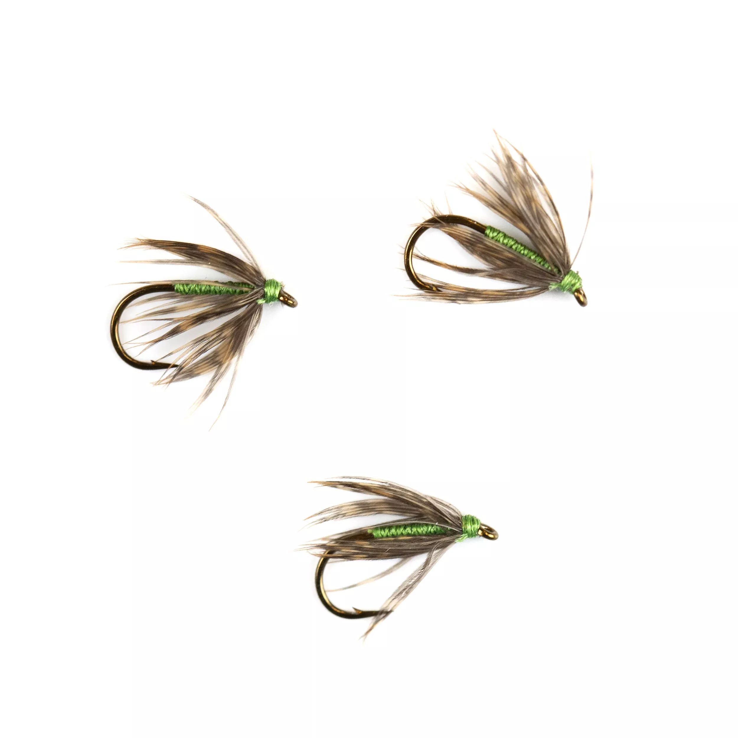 Woodcock and Green