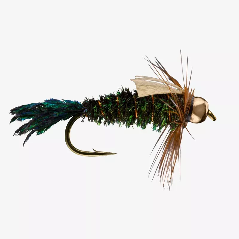 Zug Bug Bead|10&12&14&16|12 Pack